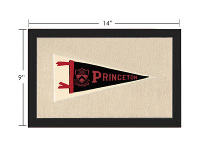 Vintage Princeton Pennant