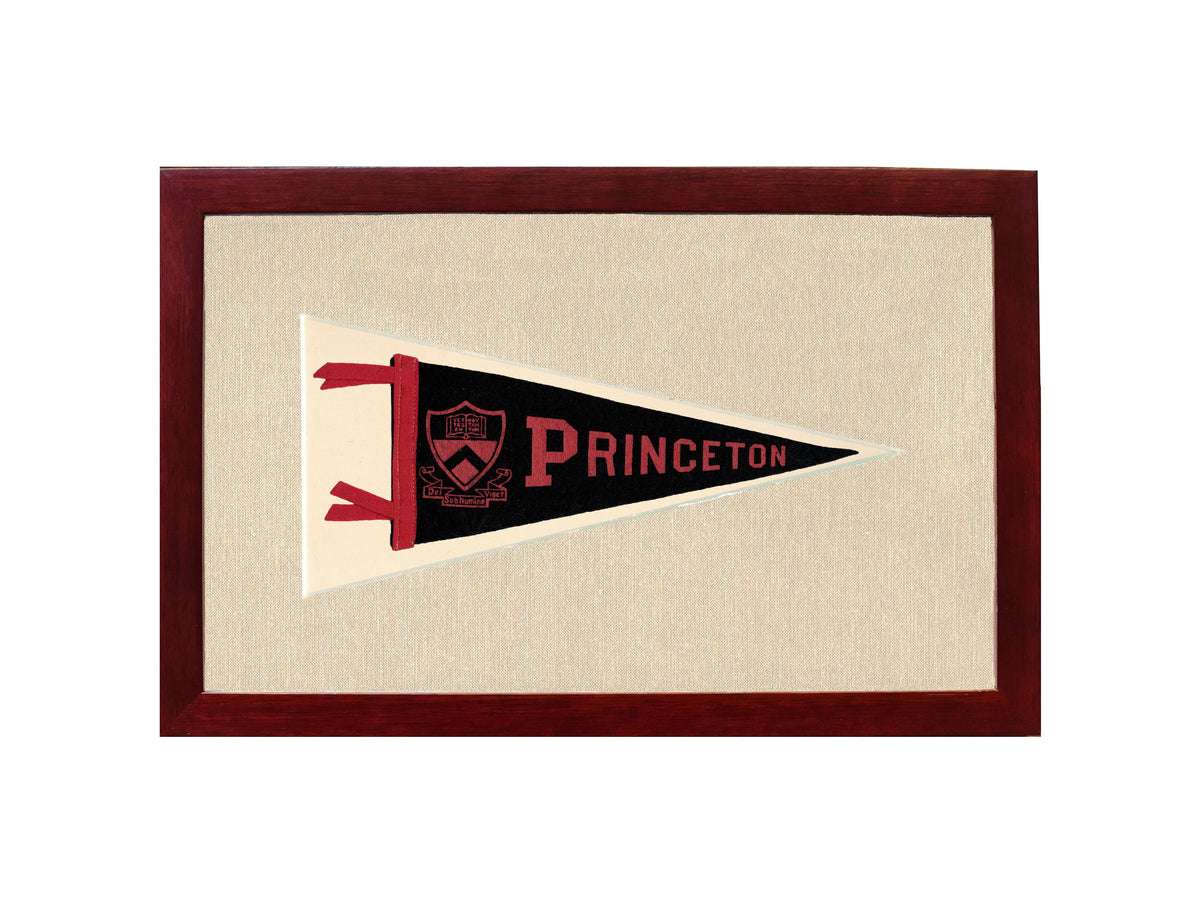 Vintage Princeton Pennant