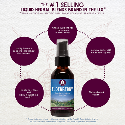 Elderberry Tincture
