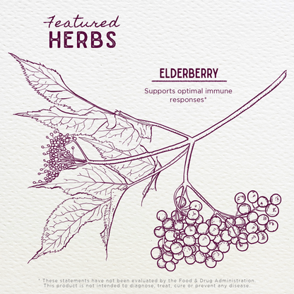 Elderberry Tincture