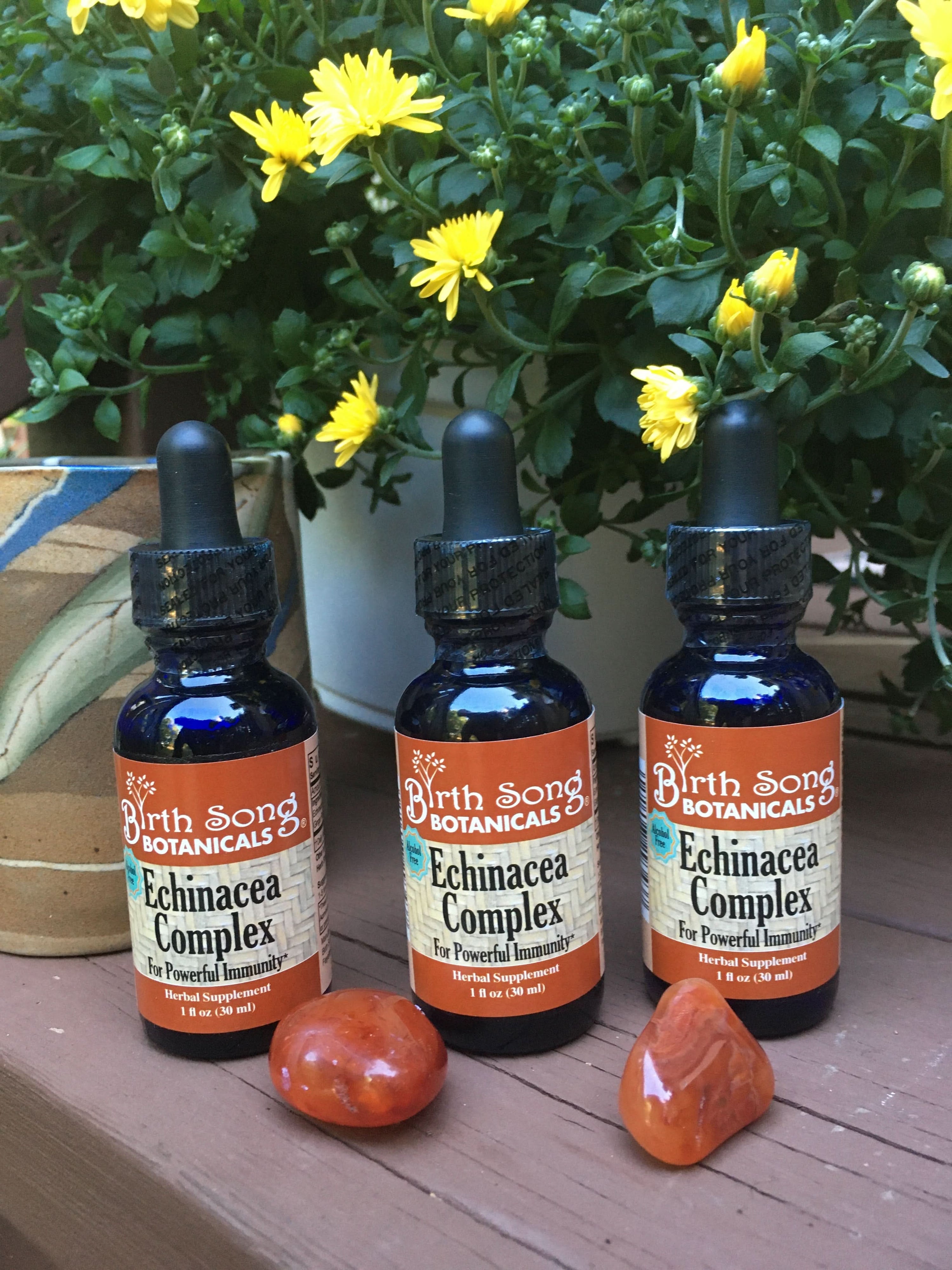 Birth Song Botanicals Co. Tinctures Echinacea Complex Herbal Tincture Liquid Echinacea Root Extract