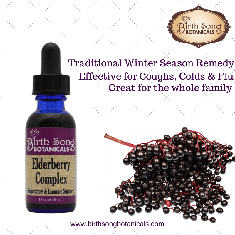 Birth Song Botanicals Co. Tinctures Elderberry Complex Herbal Tincture – Black Elderberry &amp; Rose Hips (1 oz)