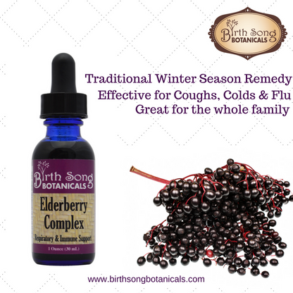 Elderberry Complex Tincture Potent Herbal Immune Support Supplement to Maintain Health and Well-Being* 1 oz. - My American Goods