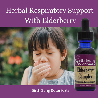 Elderberry Complex Tincture Potent Herbal Immune Support Supplement to Maintain Health and Well-Being* 1 oz. - My American Goods