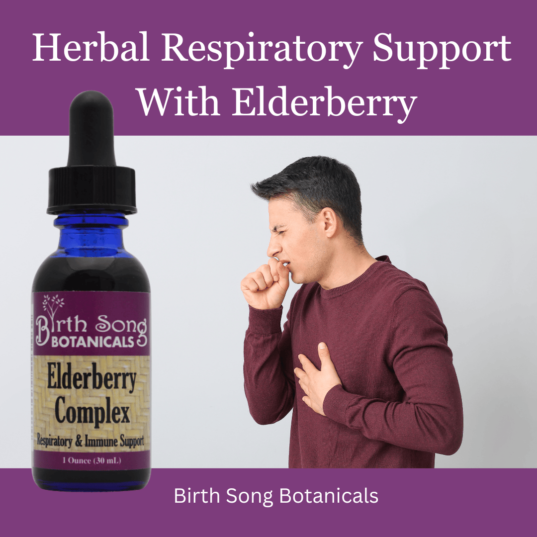 Birth Song Botanicals Co. Tinctures Elderberry Complex Herbal Tincture – Black Elderberry &amp; Rose Hips (1 oz)