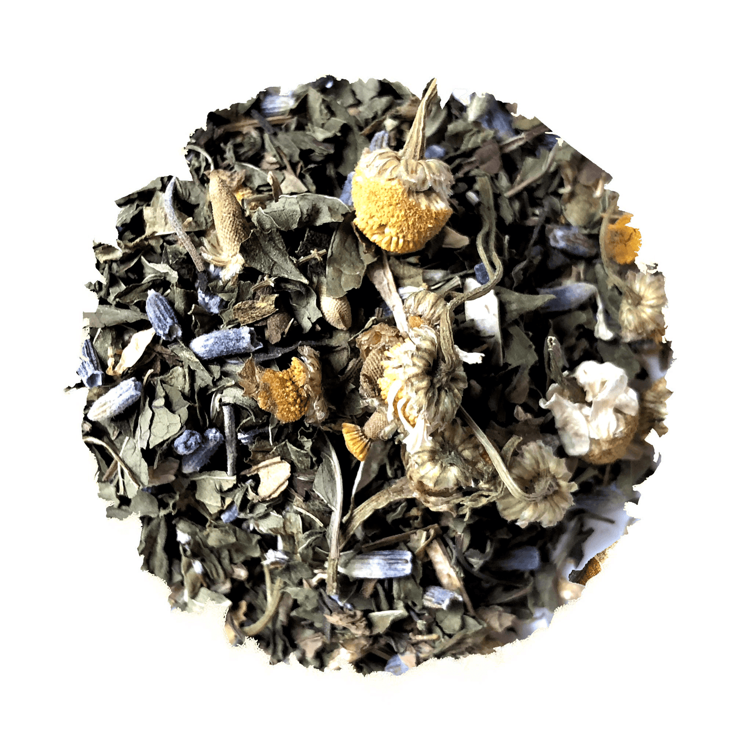 Embrace The Beach Life Iced Blend