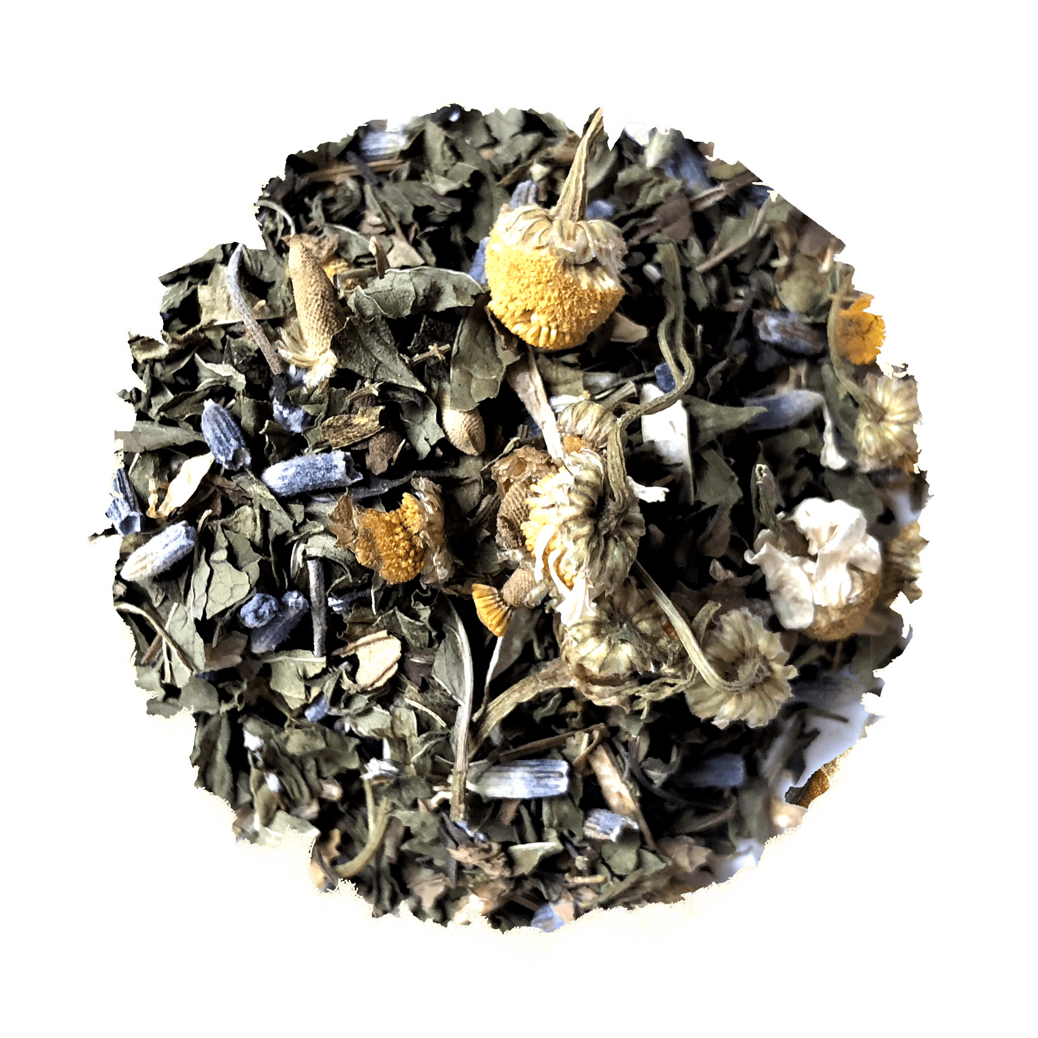 Embrace The Beach Life Iced Blend