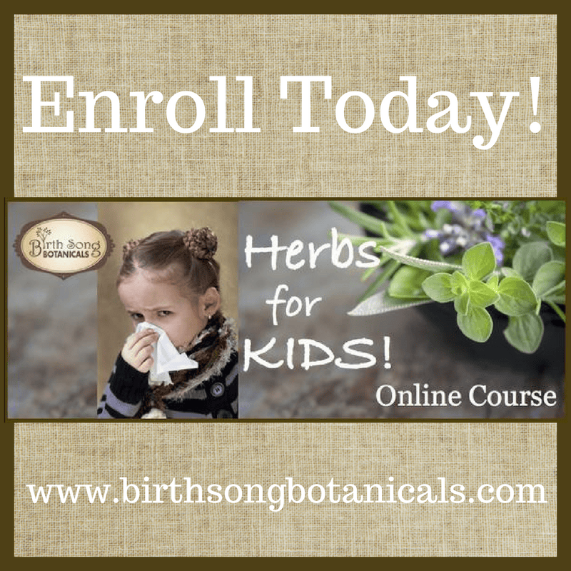 Birth Song Botanicals Co. Tinctures Default Children&