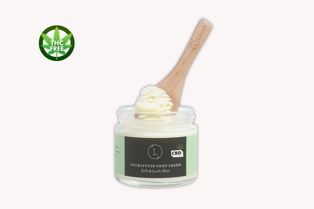 CBD Eucalyptus Shea Butter Foot Cream with CBD (THC free) - My American Goods