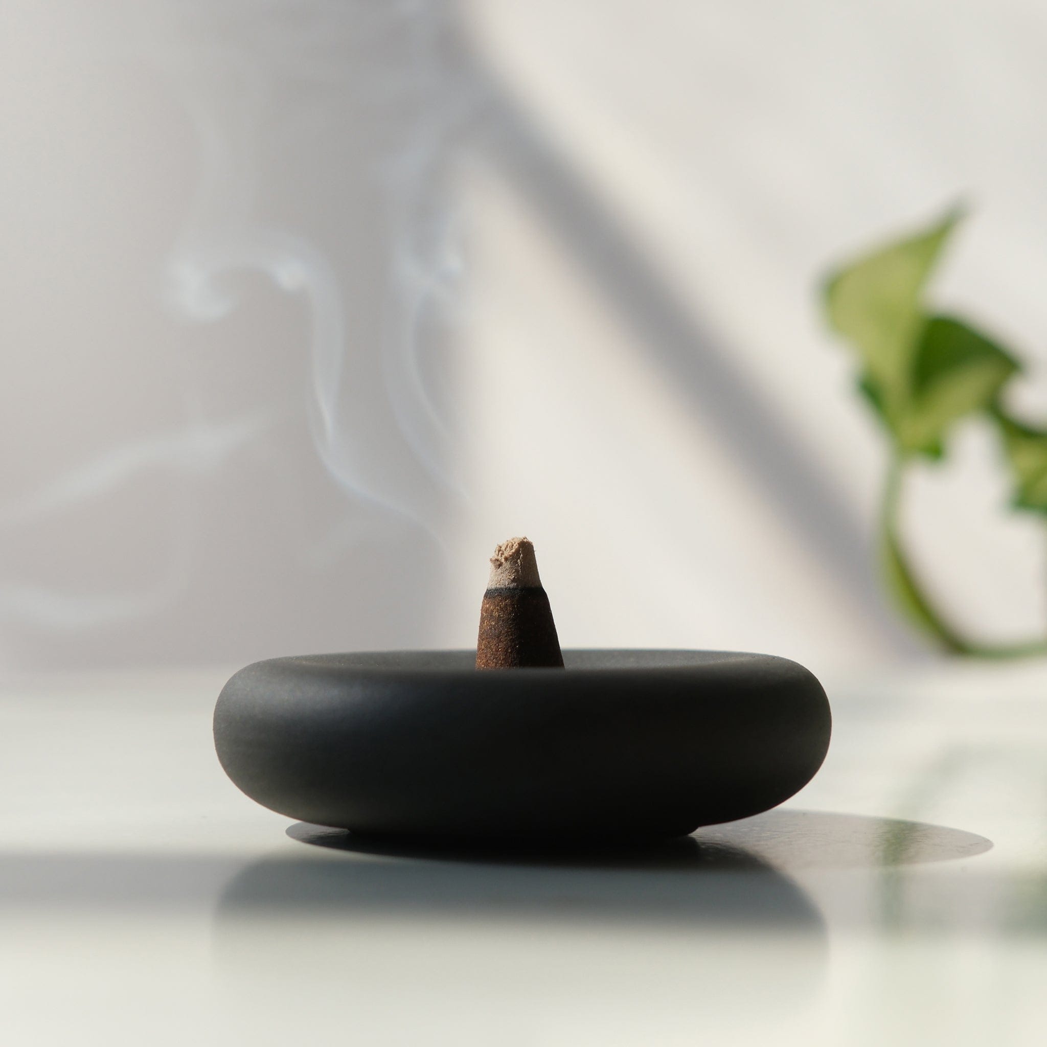 Misewell Home accessories Black Eve Incense