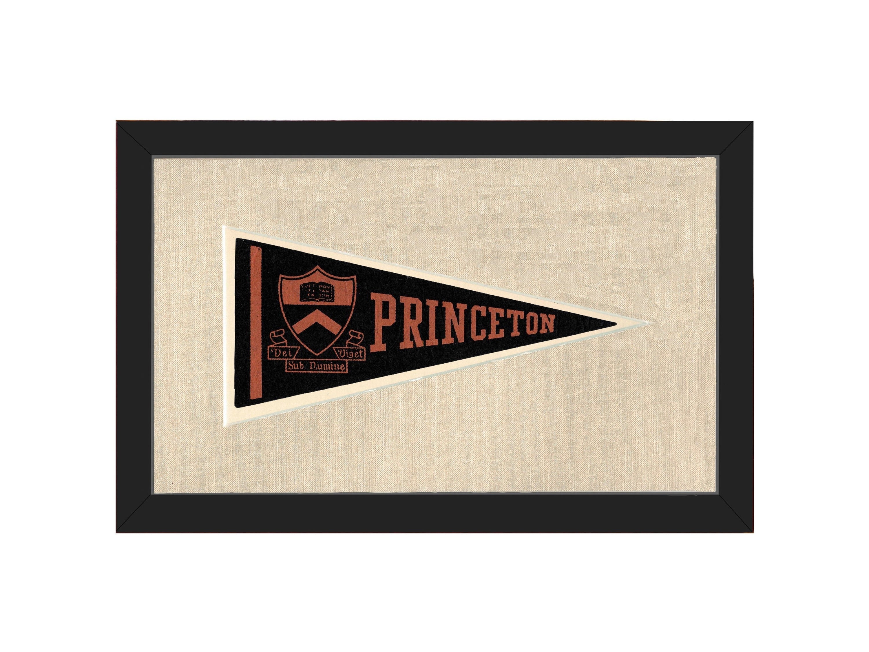 Americana Memories Vintage Pennants and Memorabilia Vintage Princeton Pennant