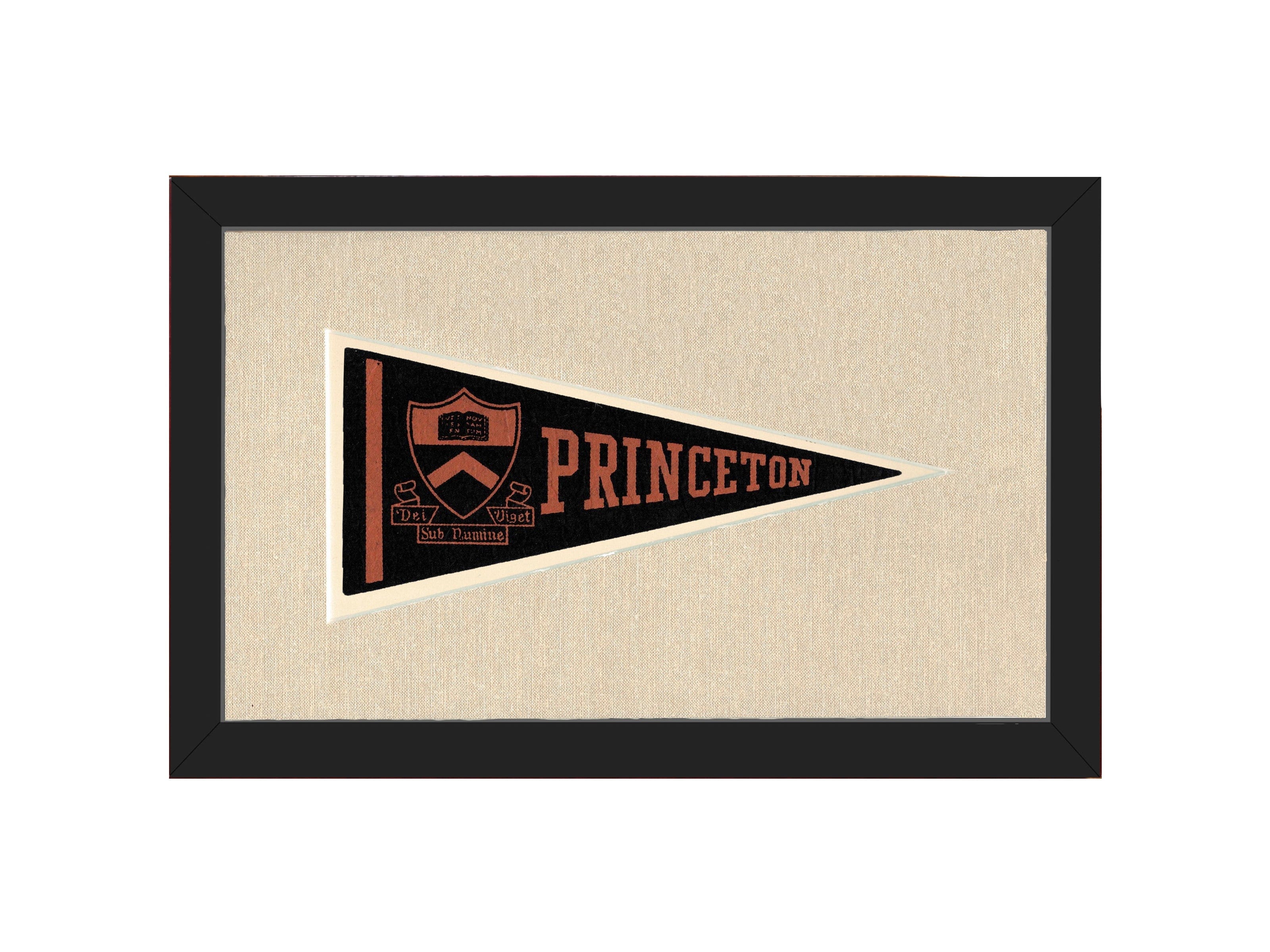 Vintage Princeton Pennant