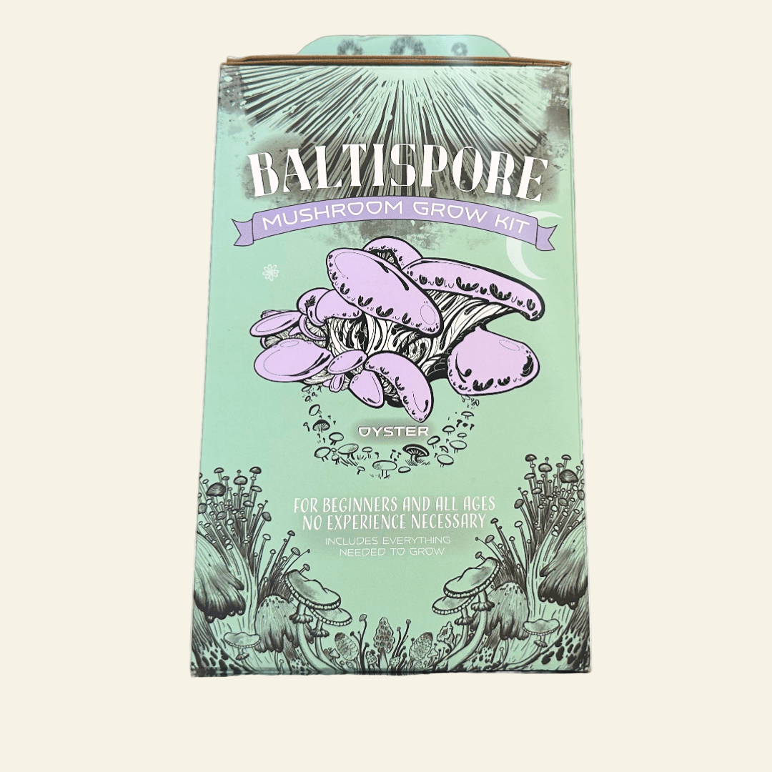 Mushroom grow kit packaging with illustrations of mushrooms on a green background