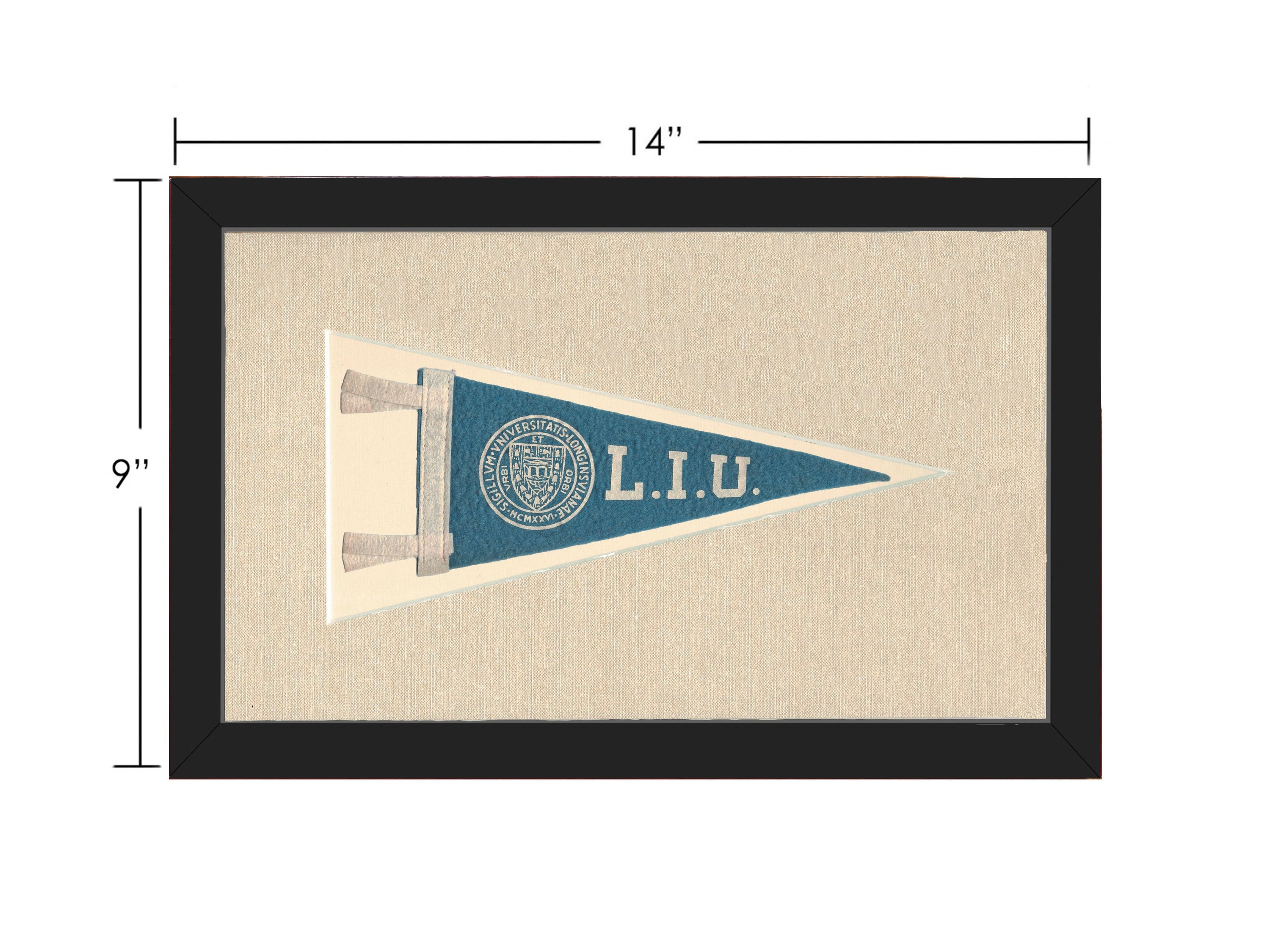 Vintage Long Island University Pennant