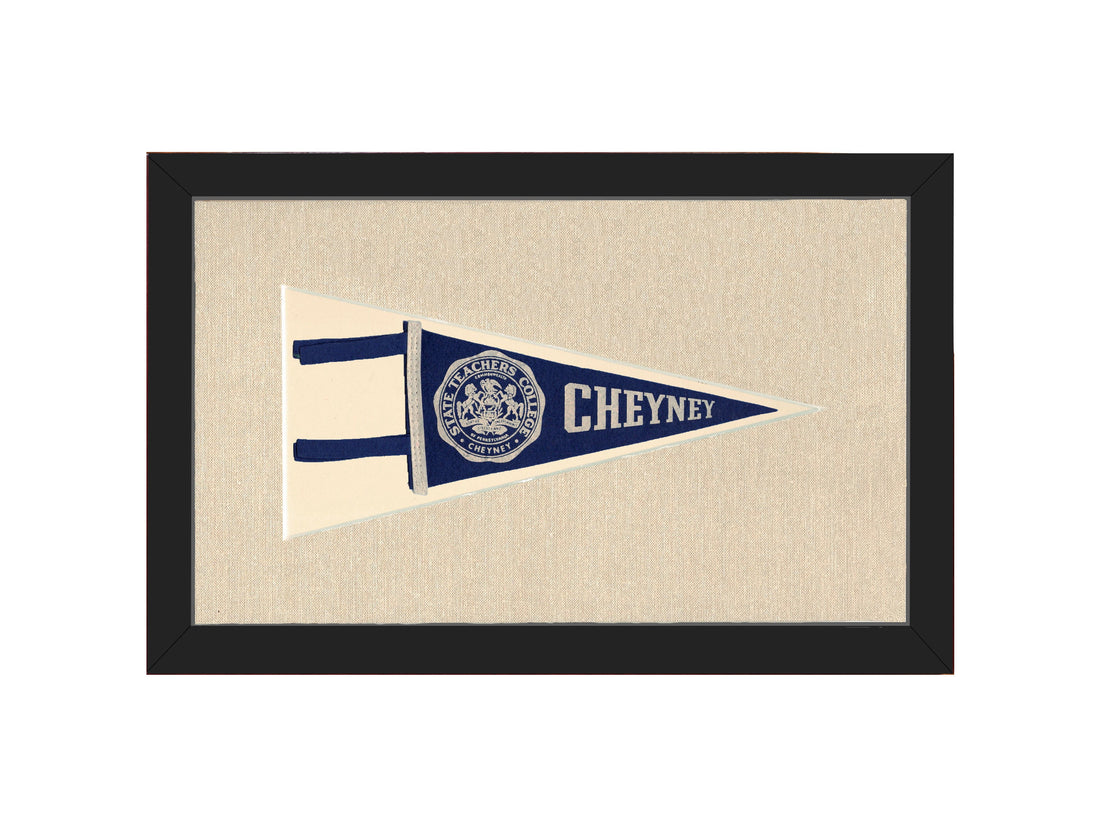 Vintage State Teachers College Pennant
