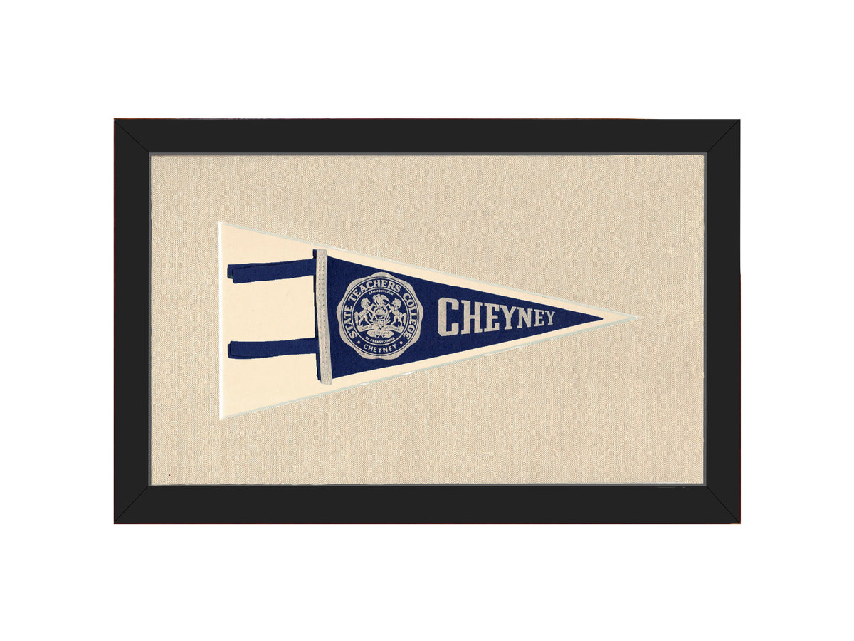 Vintage State Teachers College Pennant