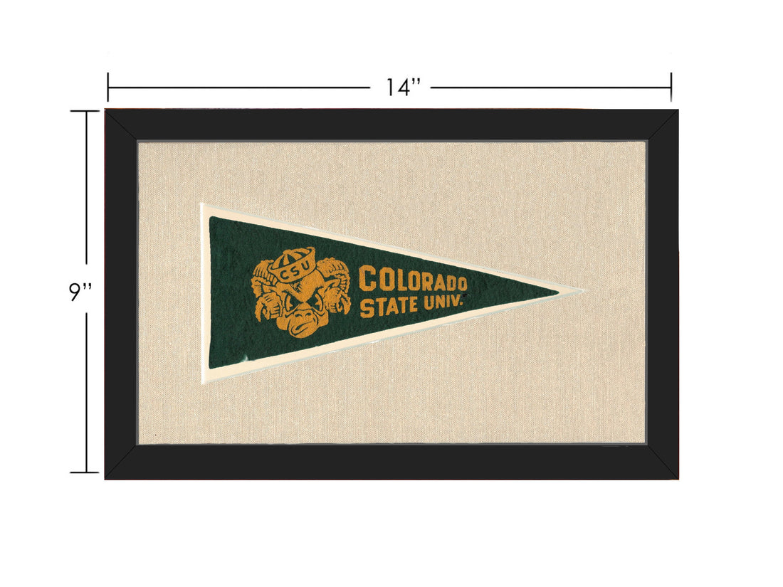 Vintage Colorado State University Pennant