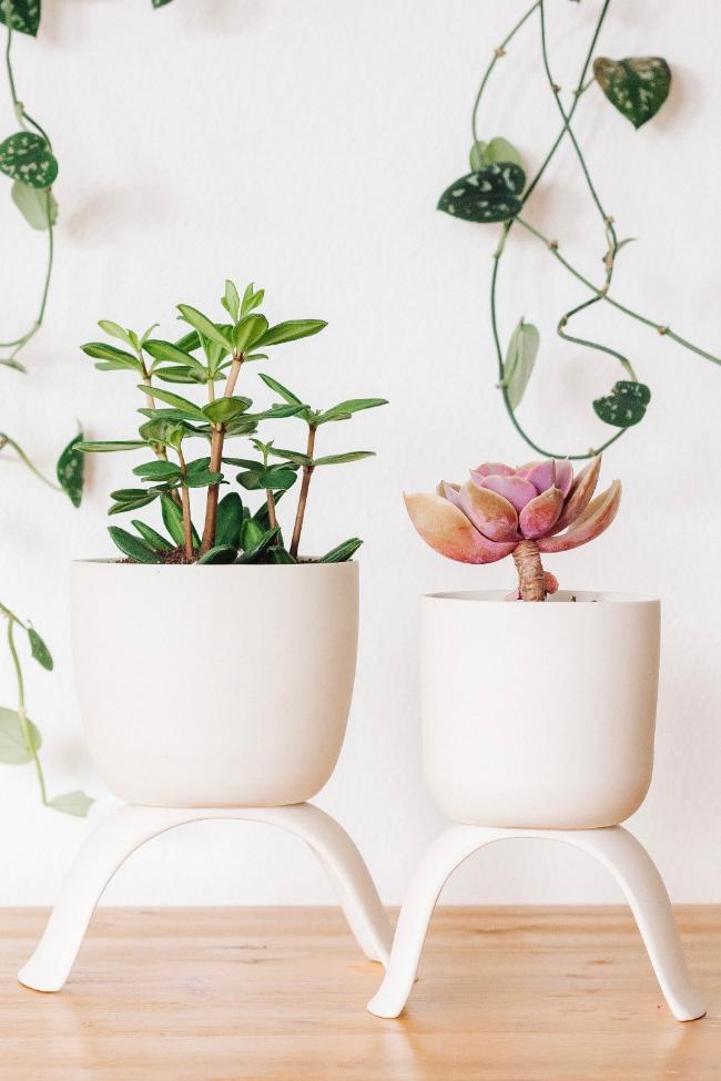 Carter + Rose Home &amp; Garden Ceramic Footed Plant Pots