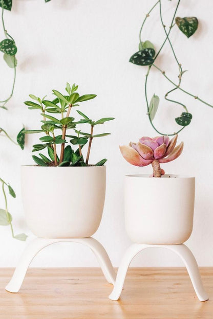 Ceramic Footed Plant Pots - My American Goods