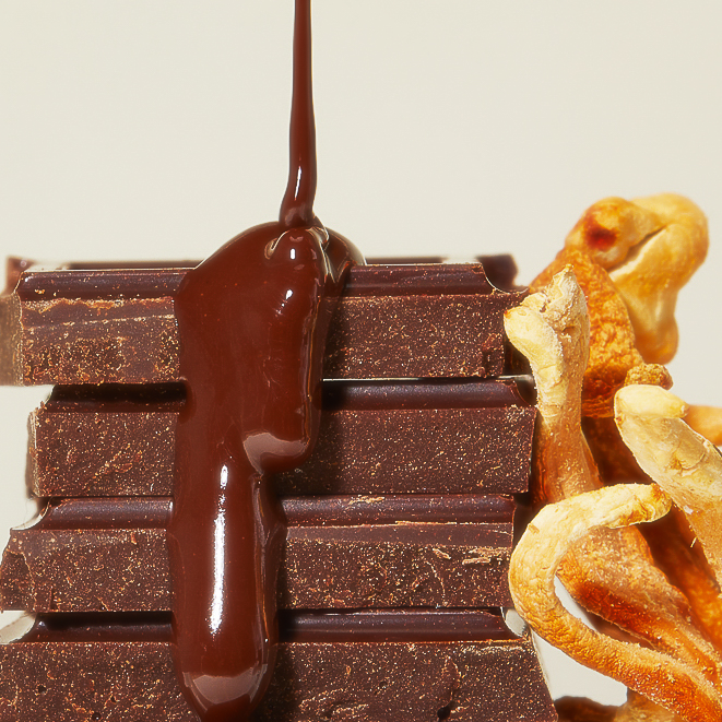 Cordyceps Chocolate - My American Goods