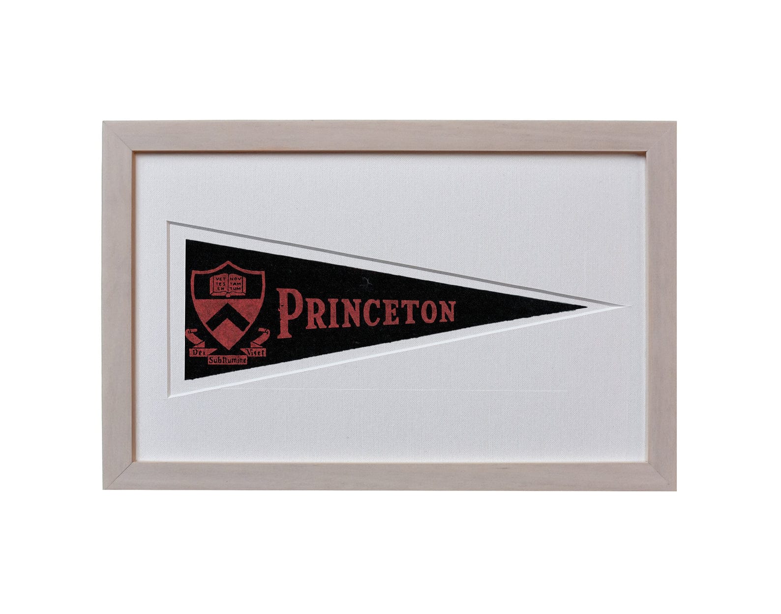 Americana Memories Vintage Princeton University Hormel Pennant