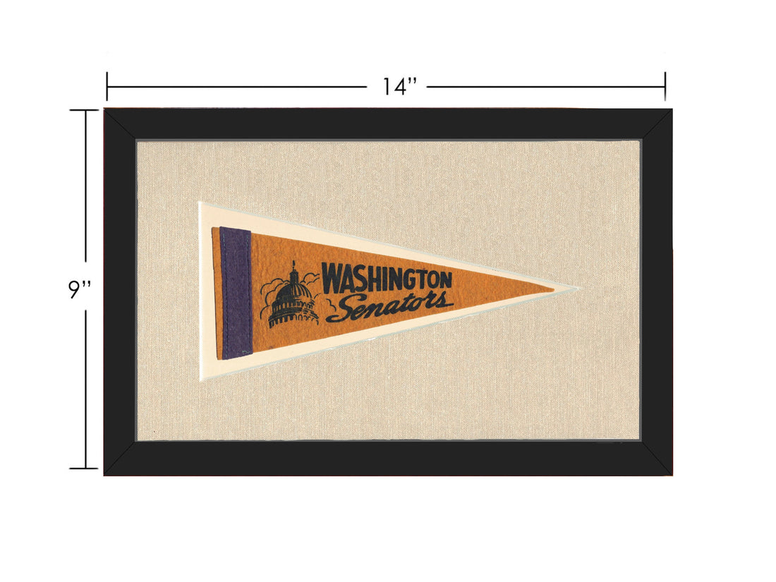 Vintage Washington Senators Pennant