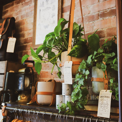 Hanging plants in pots on a shelf with a brick wall background