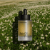 Hair Oil - My American Goods