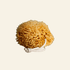 Firsthand Supply Sponge Sea Wool Sponge