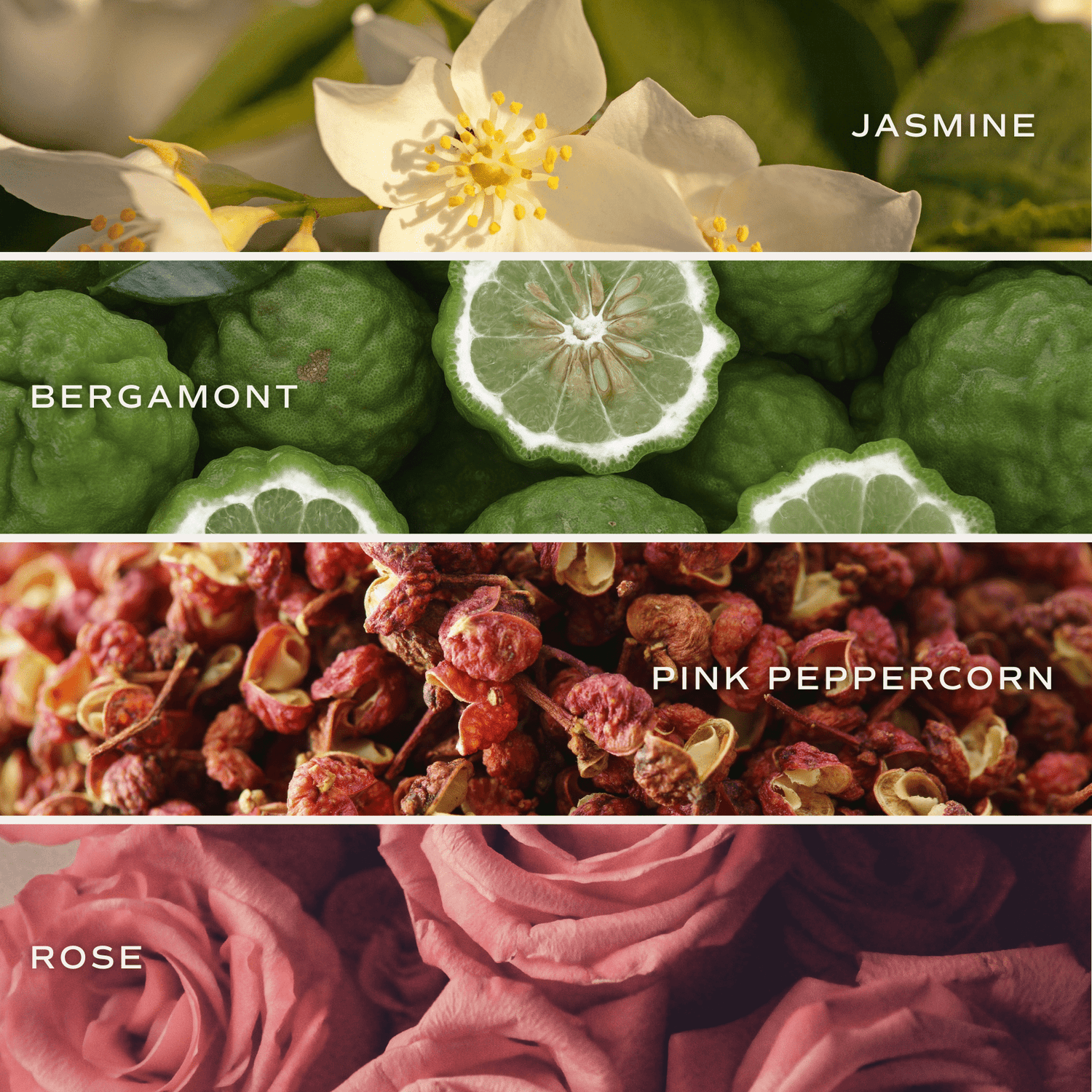 Flower Shop Soy Candle - Clear Jar - 9 oz