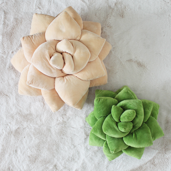 Big Pop Succulent® - Blush Peach - My American Goods