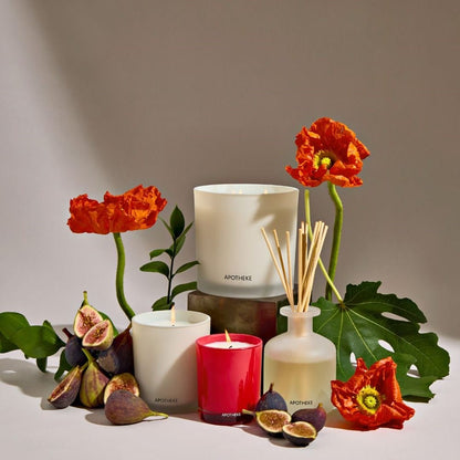APOTHEKE 3-Wick Candles Fig and Olive Leaf 3-Wick Candle