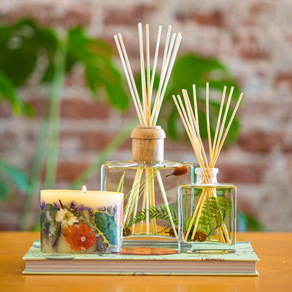 Accent Botanical Reed Diffuser - Forest