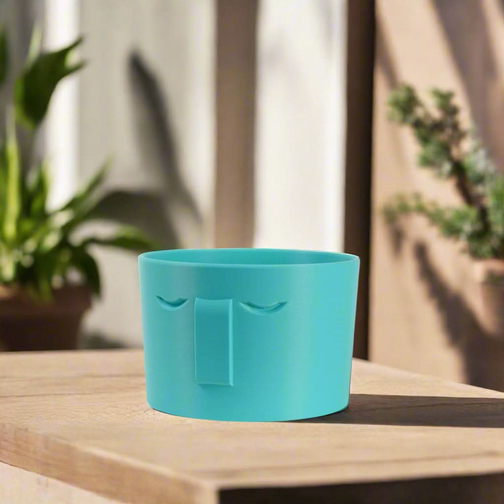 Rosebud HomeGoods Pots &amp; Planters 4 Inch / Teal / Without Drip Tray Minimal Face Planter, Small Medium Large, With Drip Tray and Great Drainage