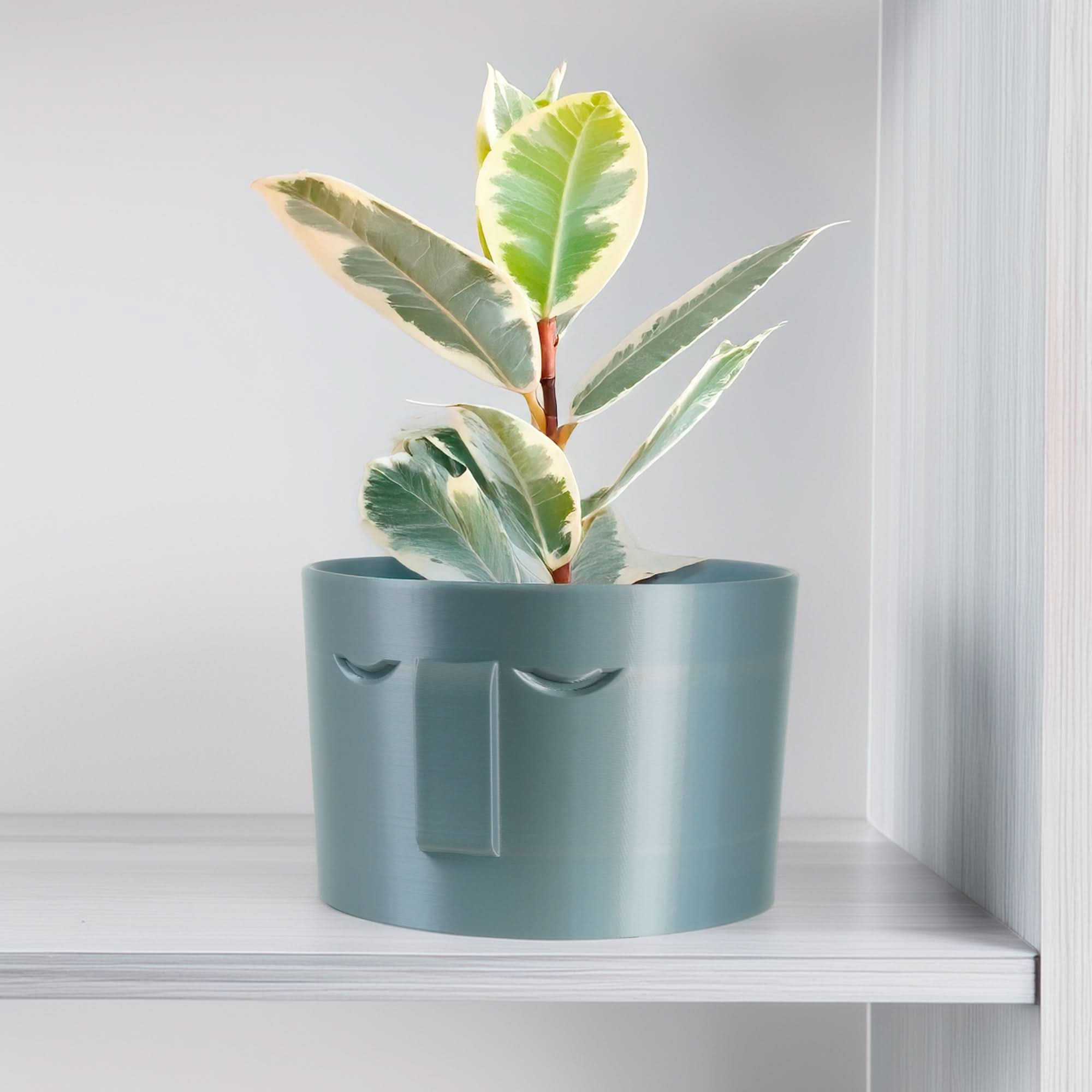 Rosebud HomeGoods Pots &amp; Planters 4 Inch / Silver / Without Drip Tray Minimal Face Planter, Small Medium Large, With Drip Tray and Great Drainage
