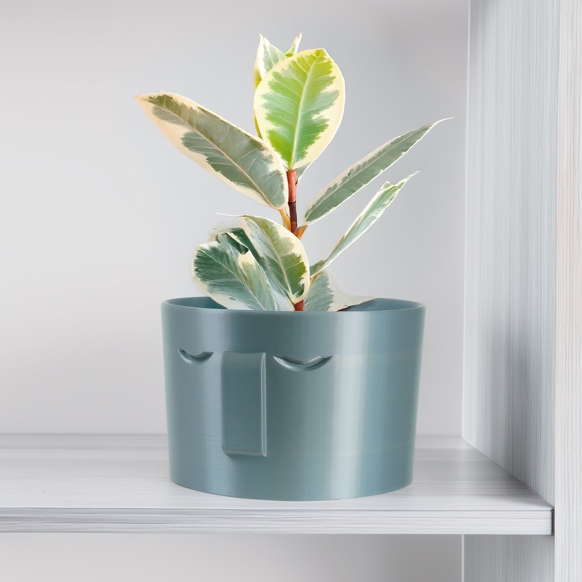 Minimal Face Planter, Small Medium Large, With Drip Tray and Great Drainage - My American Goods