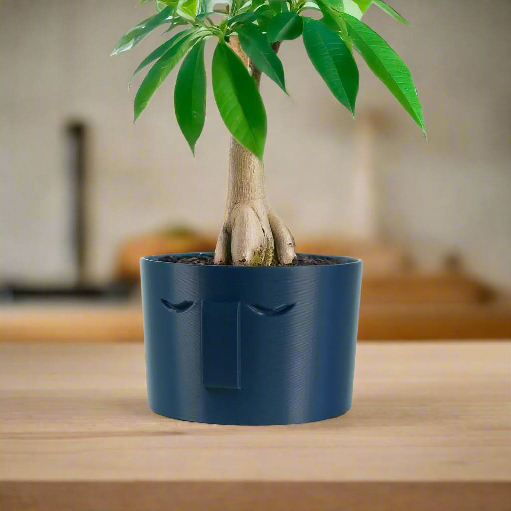 Rosebud HomeGoods Pots &amp; Planters 4 Inch / Navy Blue / Without Drip Tray Minimal Face Planter, Small Medium Large, With Drip Tray and Great Drainage