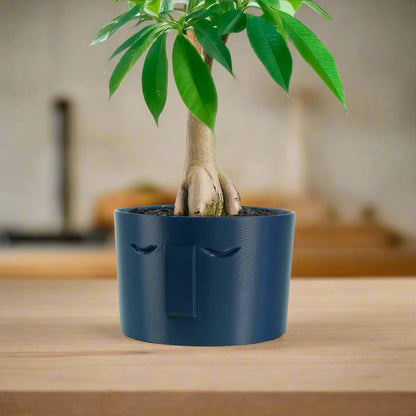 Minimal Face Planter, Small Medium Large, With Drip Tray and Great Drainage - My American Goods