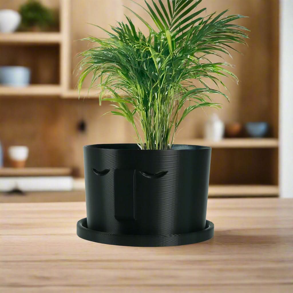 Rosebud HomeGoods Pots &amp; Planters 4 Inch / Black / Without Drip Tray Minimal Face Planter, Small Medium Large, With Drip Tray and Great Drainage