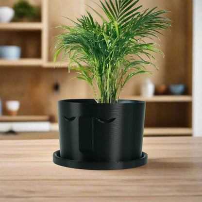 Minimal Face Planter, Small Medium Large, With Drip Tray and Great Drainage - My American Goods