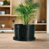 Minimal Face Planter, Small Medium Large, With Drip Tray and Great Drainage - My American Goods