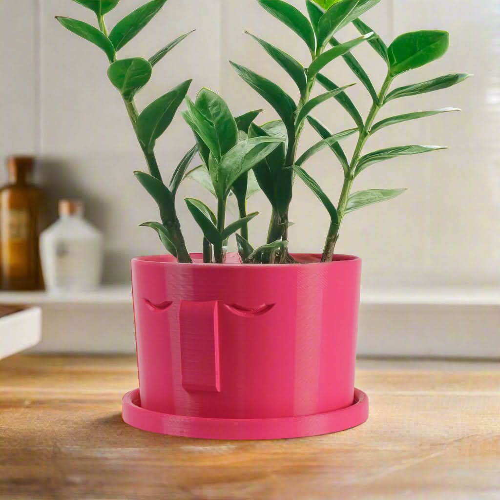 Rosebud HomeGoods Pots &amp; Planters Minimal Face Planter, Small Medium Large, With Drip Tray and Great Drainage