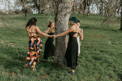Field Day Dress Meadow Dress in Black Challis