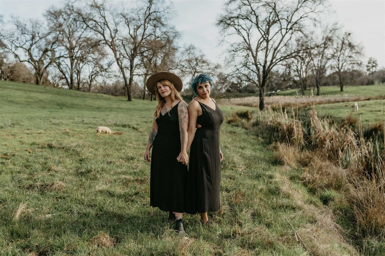 Field Day Dress Meadow Dress in Black Challis