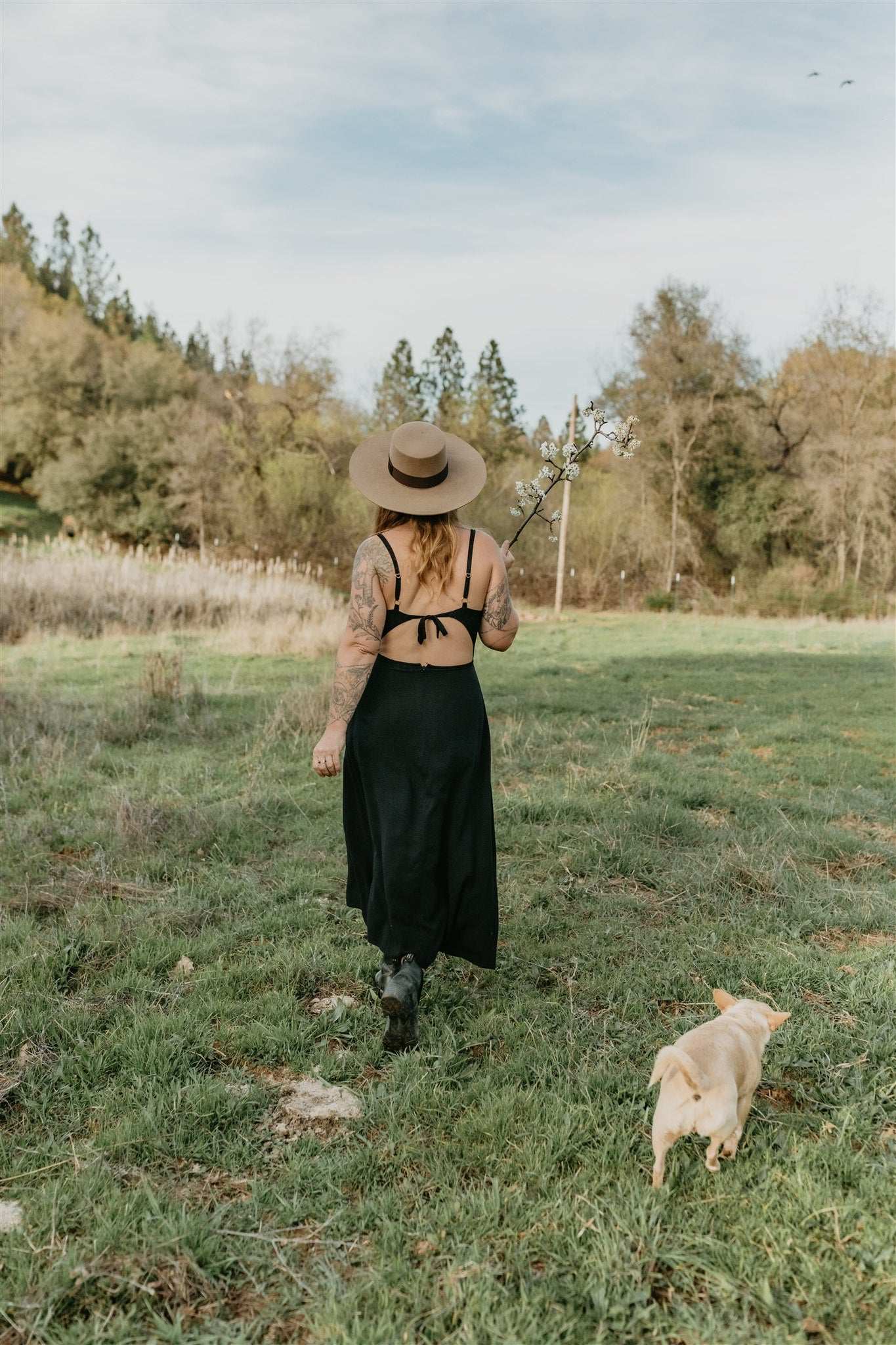 Field Day Dress Meadow Dress in Black Challis