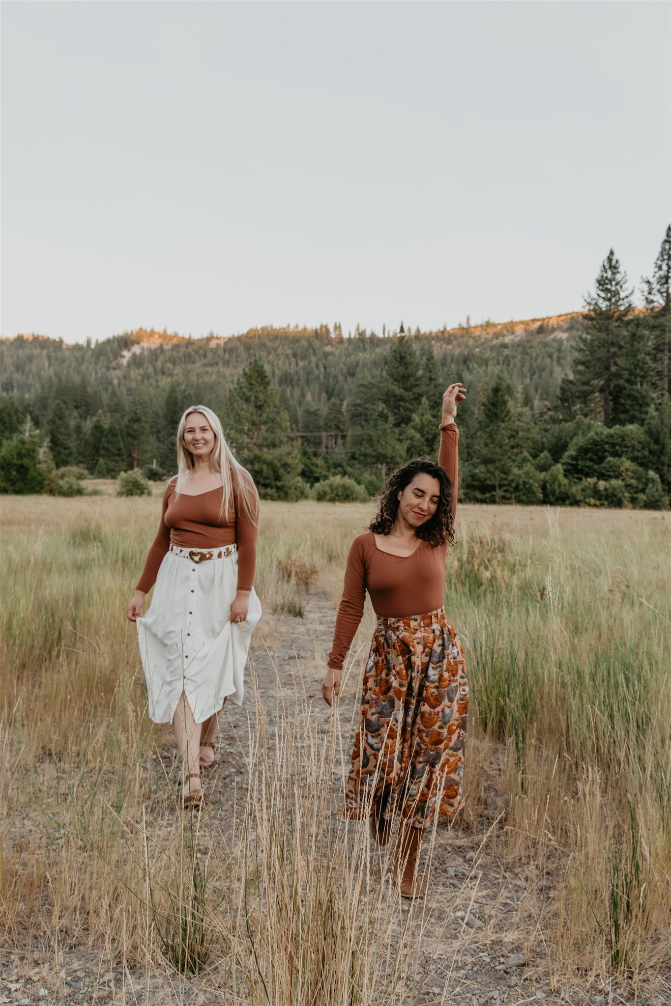 Trices Skirt in Cotton Chickens