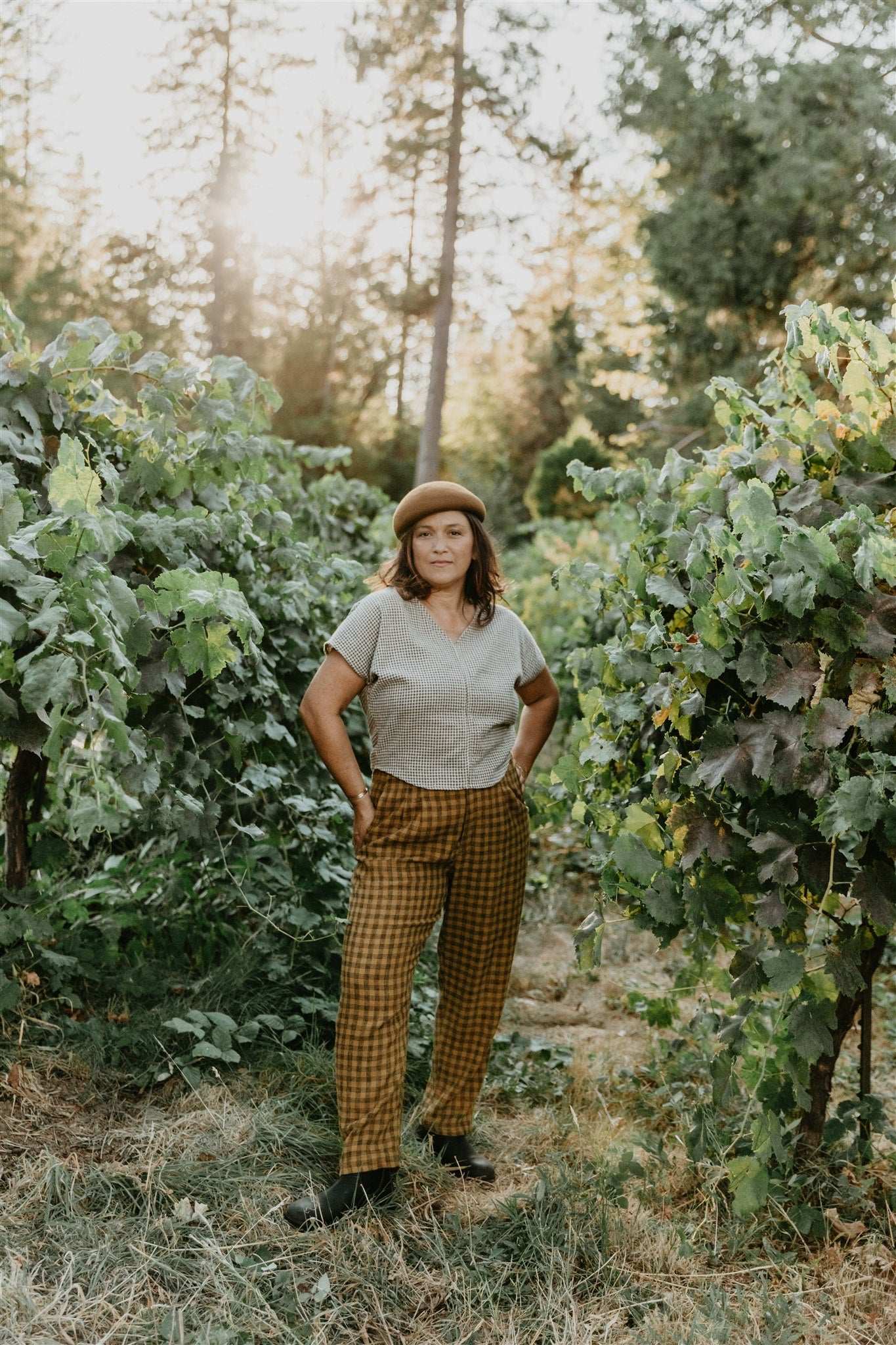 Field Day Pants Perfect Pant in Brown Checker