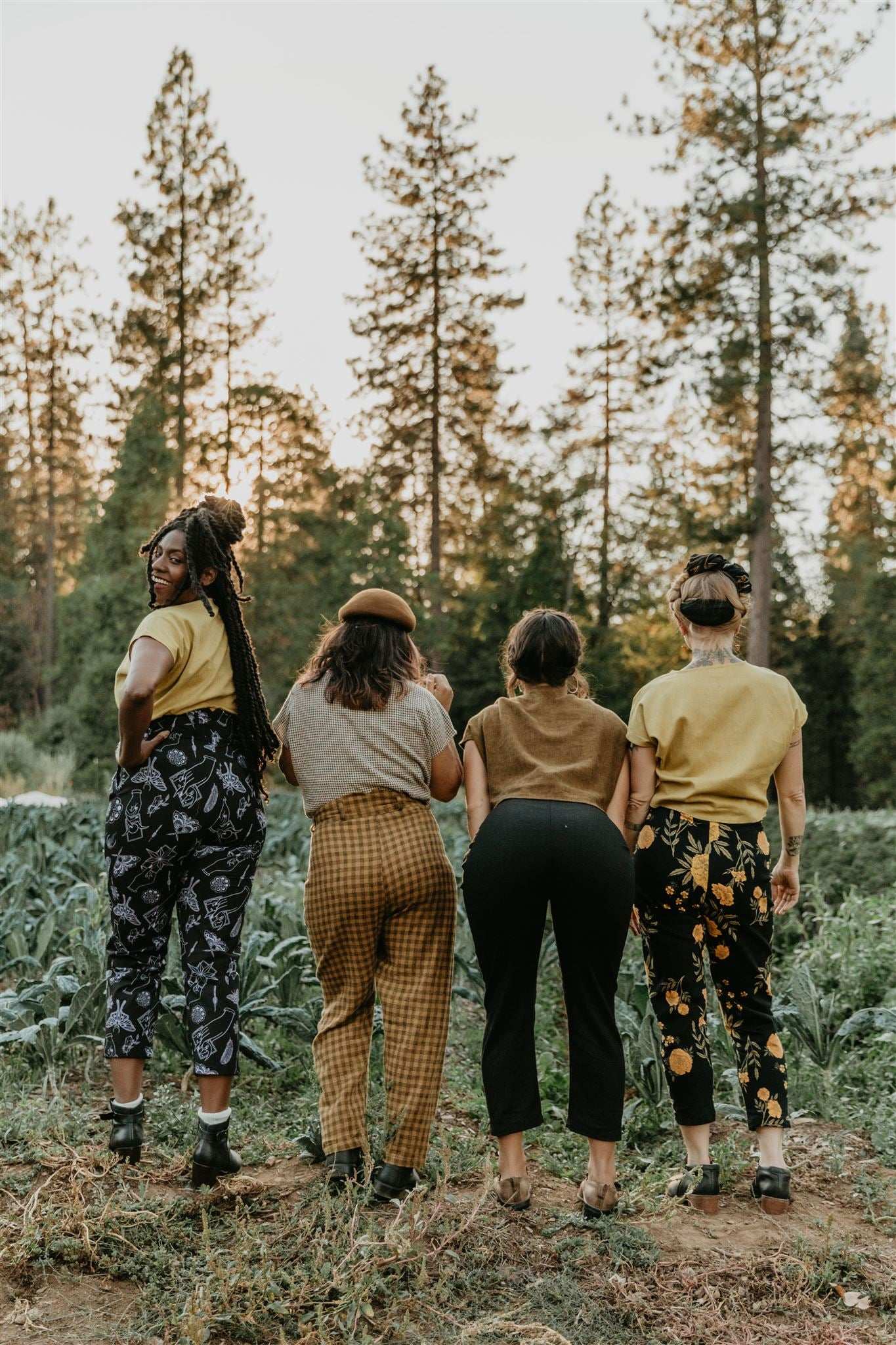 Field Day Pants Perfect Pant in Tarot
