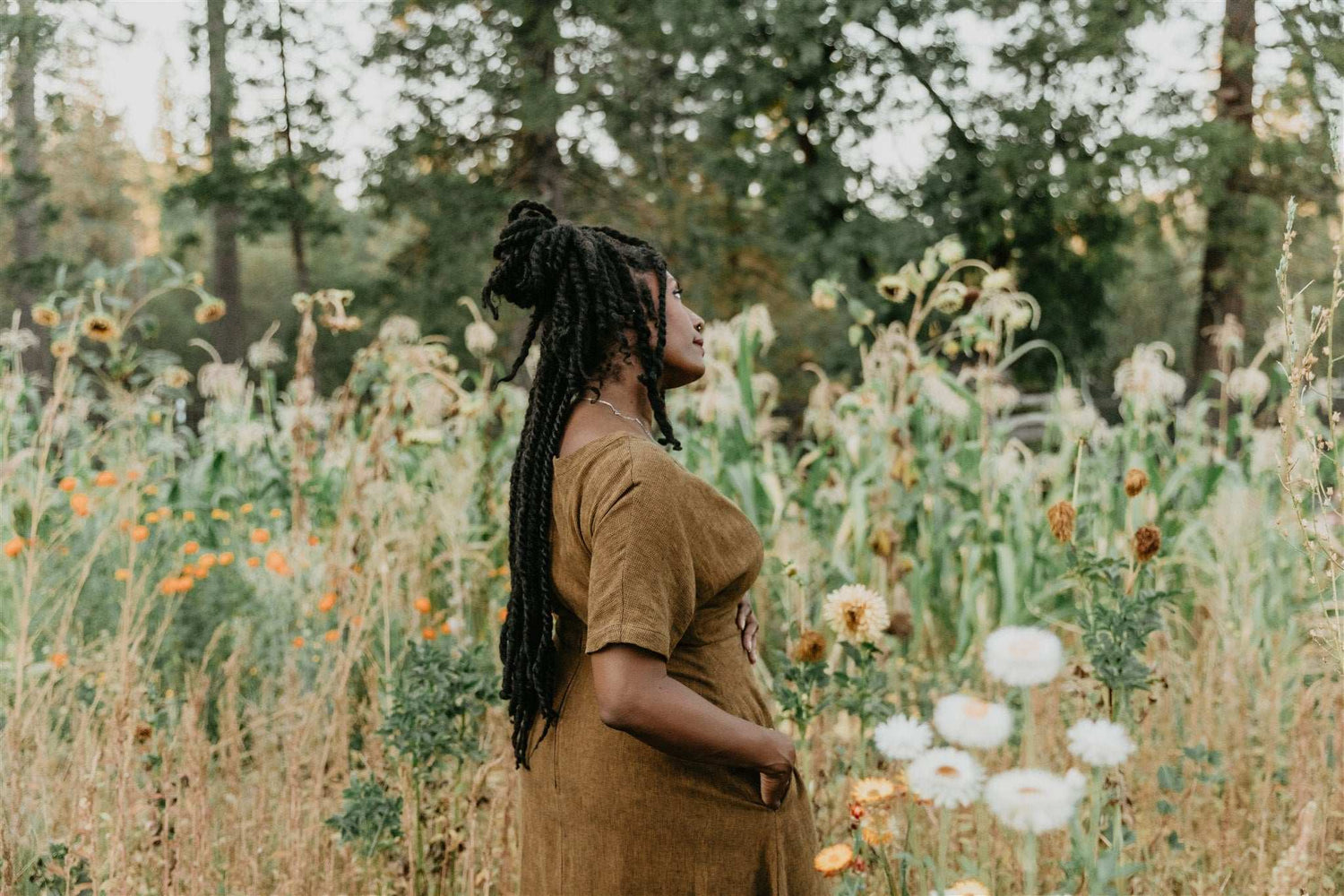 Field Day Dress Bella Dress in Golden Checker