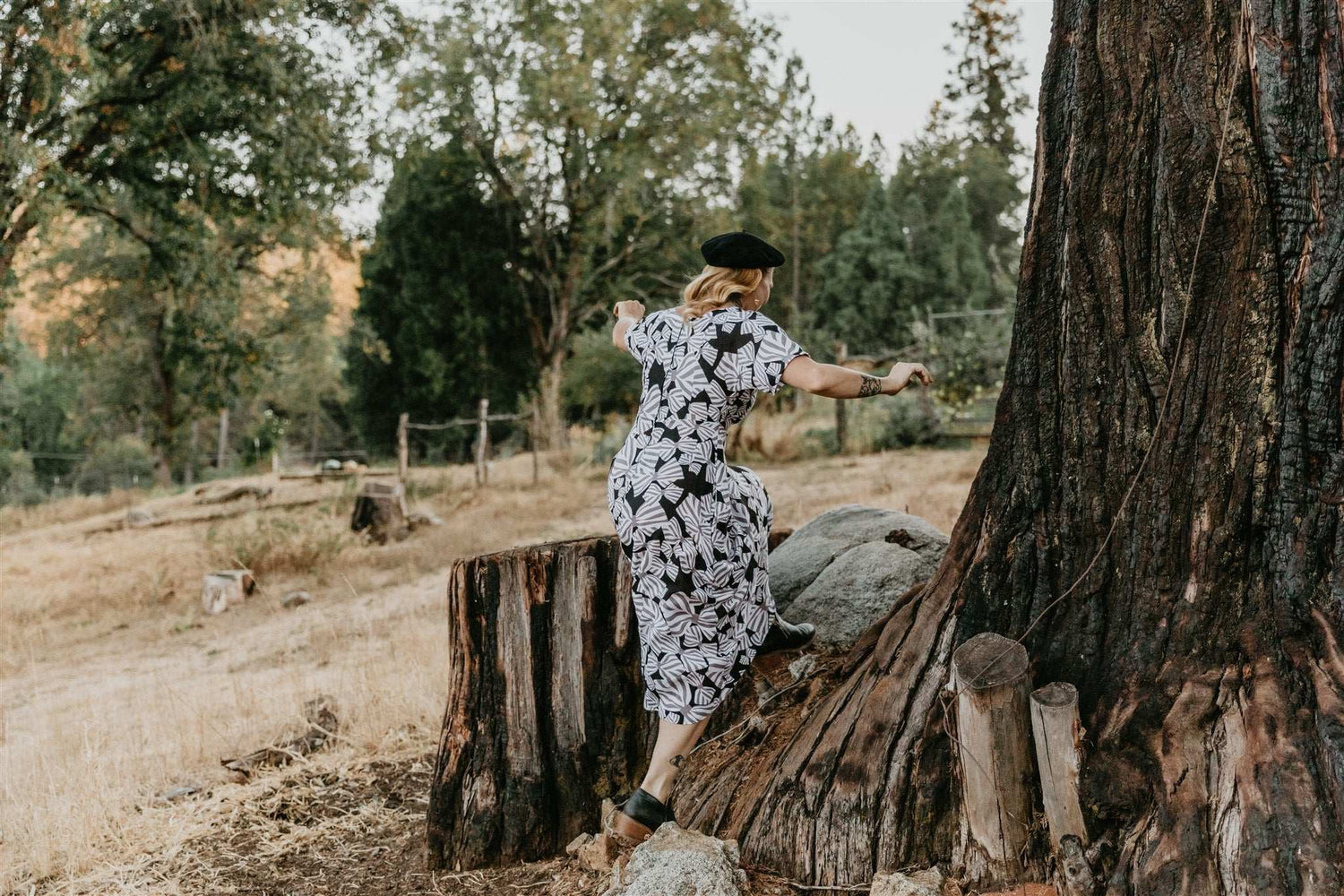 Field Day Dress Bella Dress in Bow Tie Challis